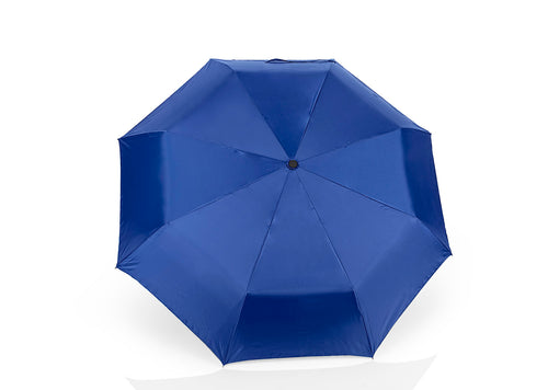 Azul Rey